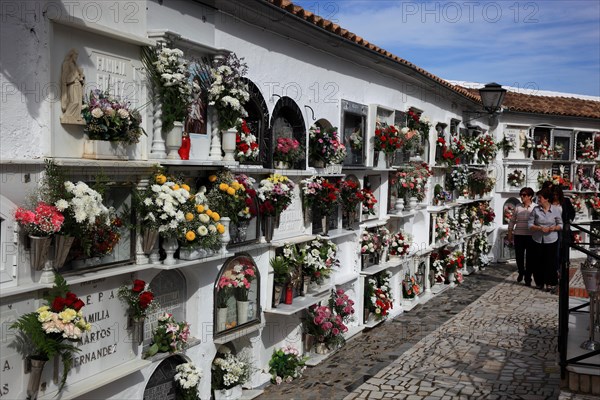 Municipality of Olvera in the province of Cadiz