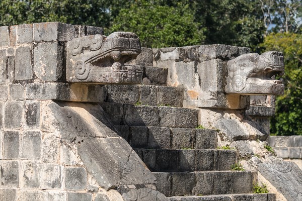 Mayan jaguar figurehead sculptures at the archaeological site in chichen itza