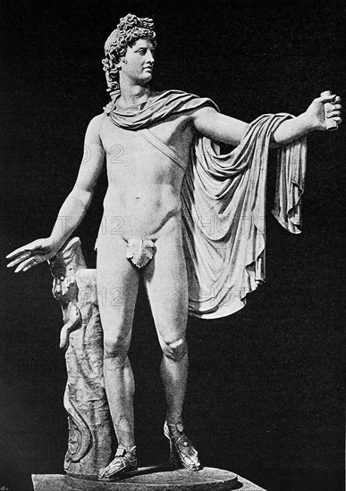 Apollo of the Belvedere