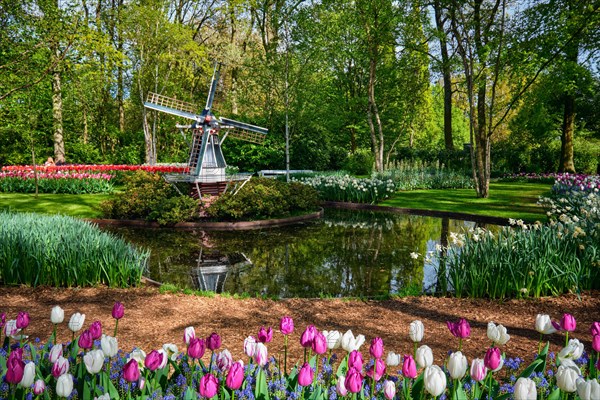 Keukenhof flower garden