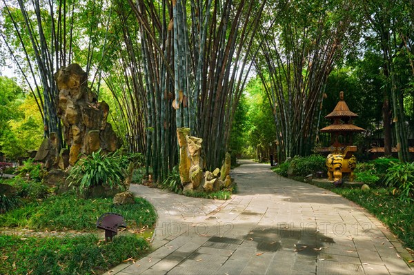 Path in bamboo forest brove in Wangjiang Pavilion