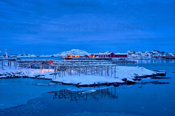 Drying flakes for stockfish cod fish in Reine village illuminated at night in winter. Lofoten islands