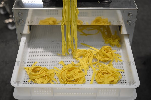 Pasta machine noodles