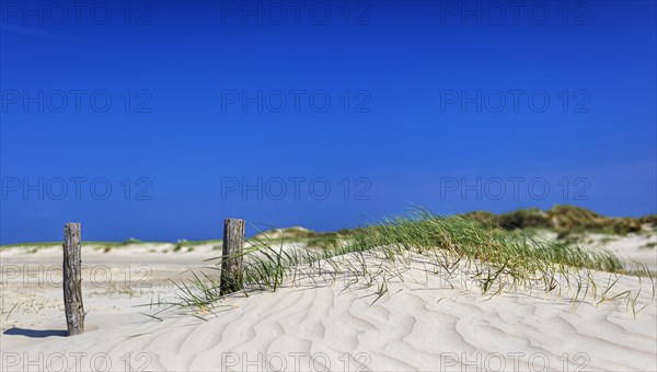 Beach with wooden planks and guard house