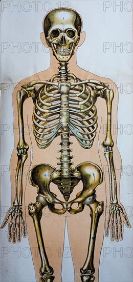 Depiction of the human body