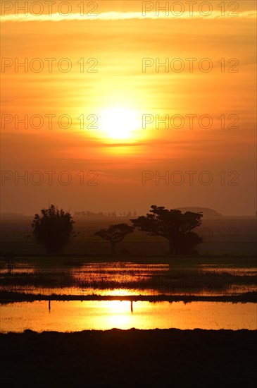 Sunset over Lagoa dos Patos