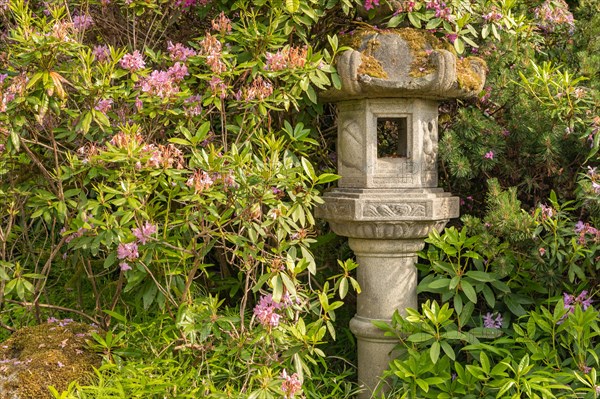 Japanese pagoda lantern within green garden setting