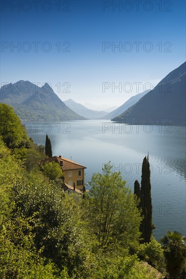 Houses and cypresses on the lake