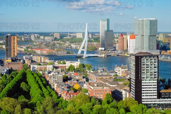 View of Rotterdam city and the Erasmus bridge Erasmusbrug over Nieuwe Maas river from Euromast