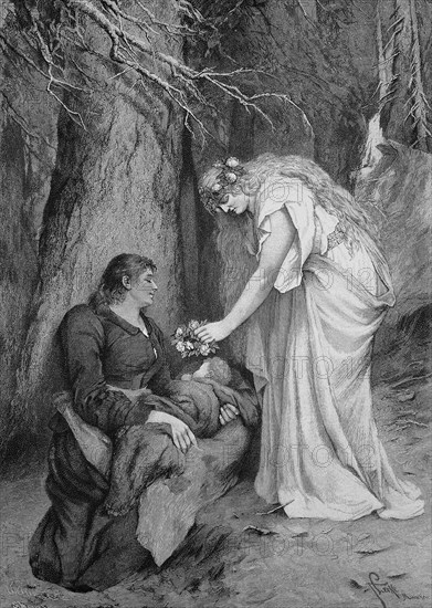 Der Traum vom Glueck