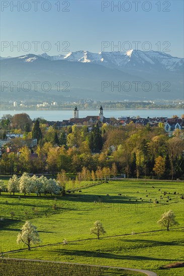 View from Hoyerberg to Lindau towards Lake Constance and the Alps