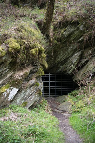 Old gallery in the Eifel National Park