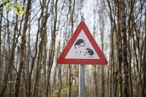 Inclusive and barrier-free nature trail Der Wilde Weg