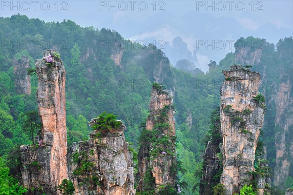 Famous tourist attraction of China