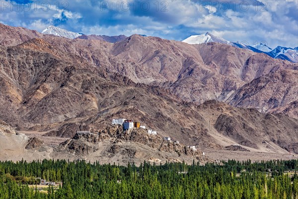 Thiksey gompa and Himalayas. Ladakh