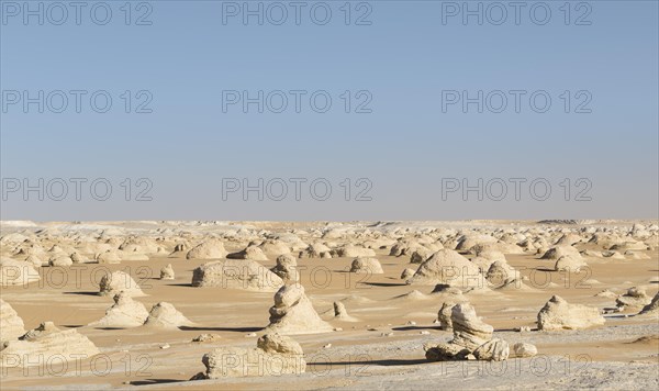 View over the white desert