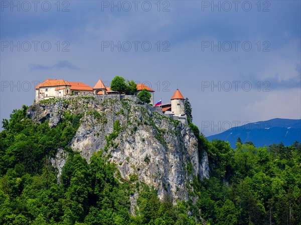 Bled Castle