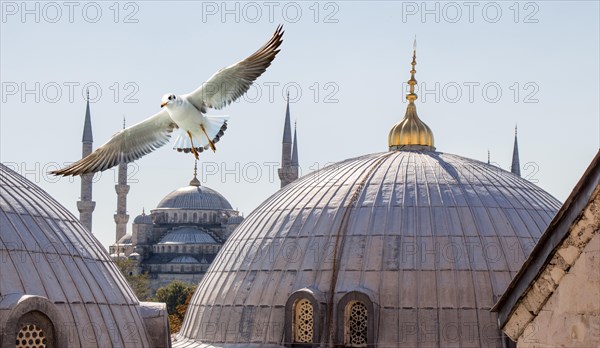 Hagia Sophia