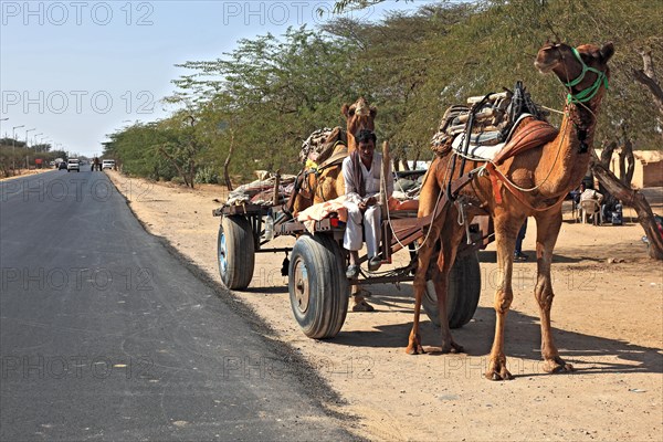 Rajasthan