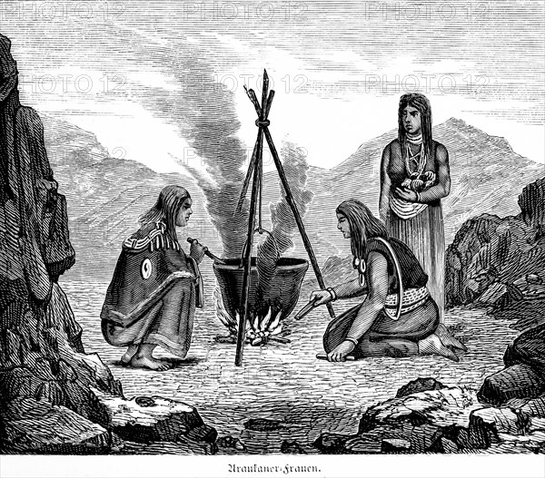 Araucanian or Mapuche