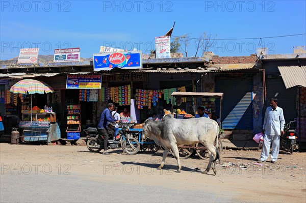 North India