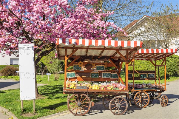 Sales stand with fruit