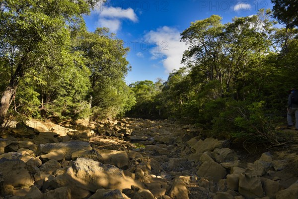 Dry riverbed in Ankarana National Park in northern Madagascar