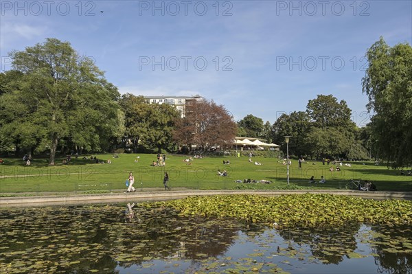 Volkspark am vineyard