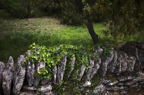 Typical wall of stacked stones