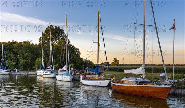 Sailing boats on the Bodden in Fischland Darss
