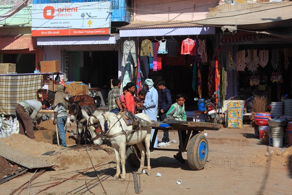 In the old town of Nawalgarh