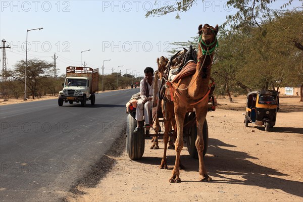 Rajasthan