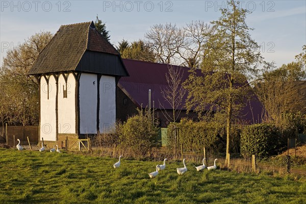 Berfes beim Raveshof