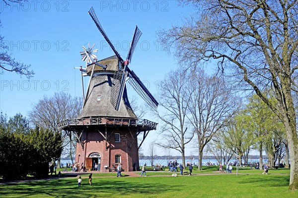 Windmill