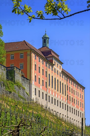 New Castle with Weiberg