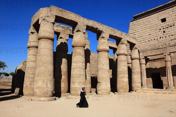 Temple of Luxor