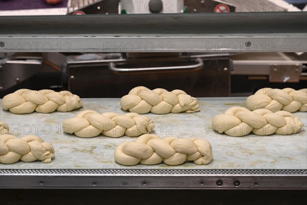 Bakery Assembly Line Butter Plaits