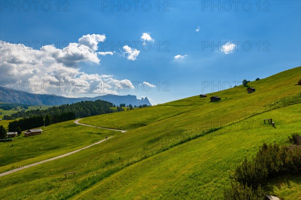 In Suedtirol auf der Seiser Alm im Fruehsommer mit einigen Almhuetten auf saftig gruenen Weiden. Im Hintergrund ist ein grosser Berg mit einigen Wolken am blauem Himmel. Die steilen Wiesen werden durch eine schmale Strasse getrennt