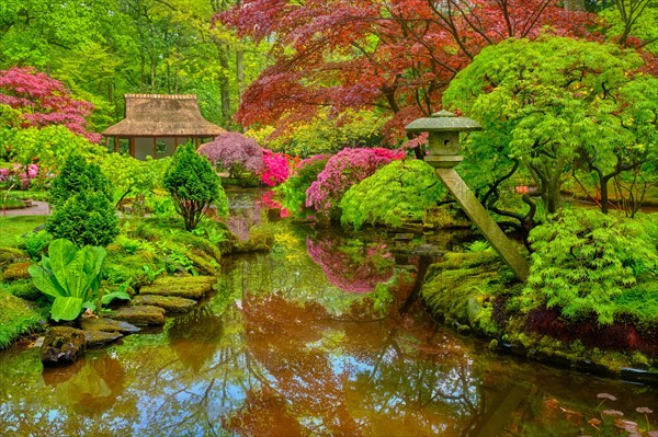 Little Japanese garden after rain in Park Clingendael