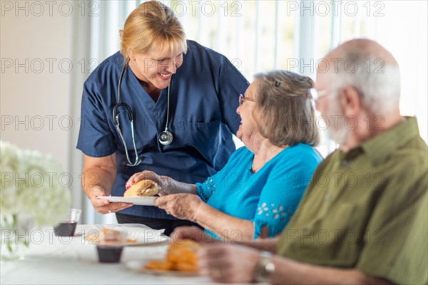 Female doctor or nurse serving senior adult couple sandwiches at table