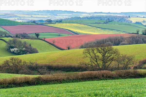 Fields and Meadows over English Village