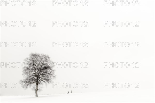 Einsame Frau knieend an Marterl mit Baum in Winterlandschaft