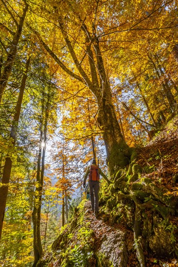 Man on hiking trail