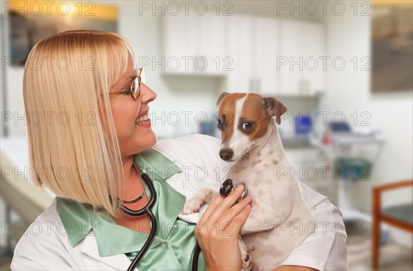 Female doctor veterinarian with small puppy in office