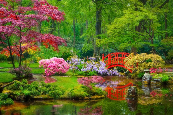 Small bridge in Japanese garden