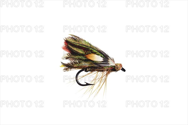 Fishing Fly isolated