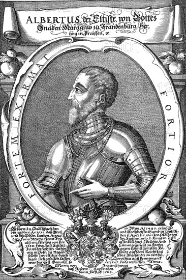 Albrecht of Brandenburg from the House of Hohenzollern