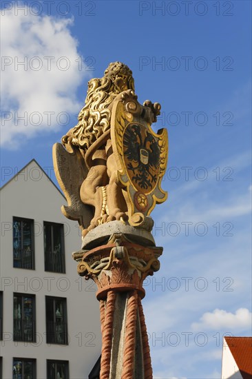 Lion fountain on the Muensterplatz