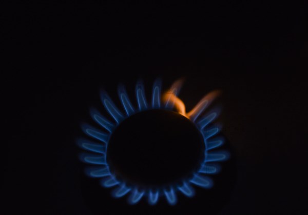 Blue gas flame on a gas stove