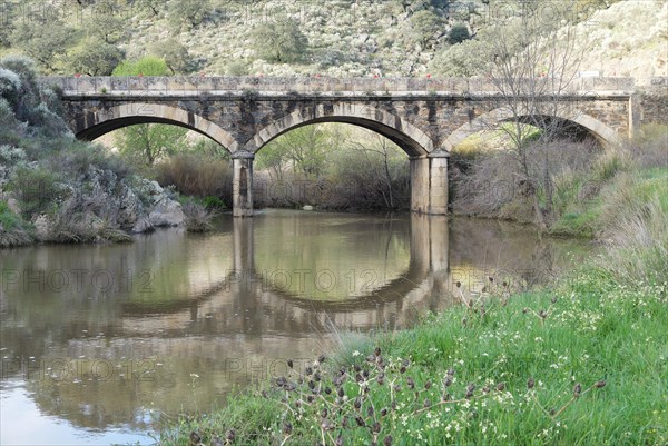 Roemische Bruecke im Monfrague Nationalpark